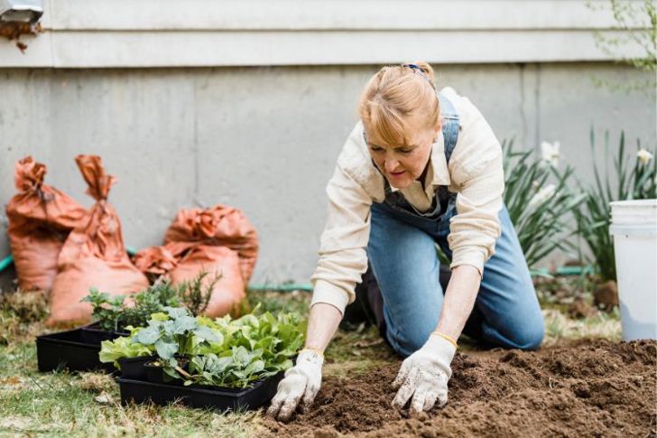 Hobbies image - gardening
